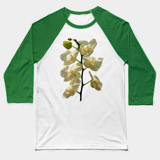 Orchids - Dainty White Orchids Baseball T-Shirt